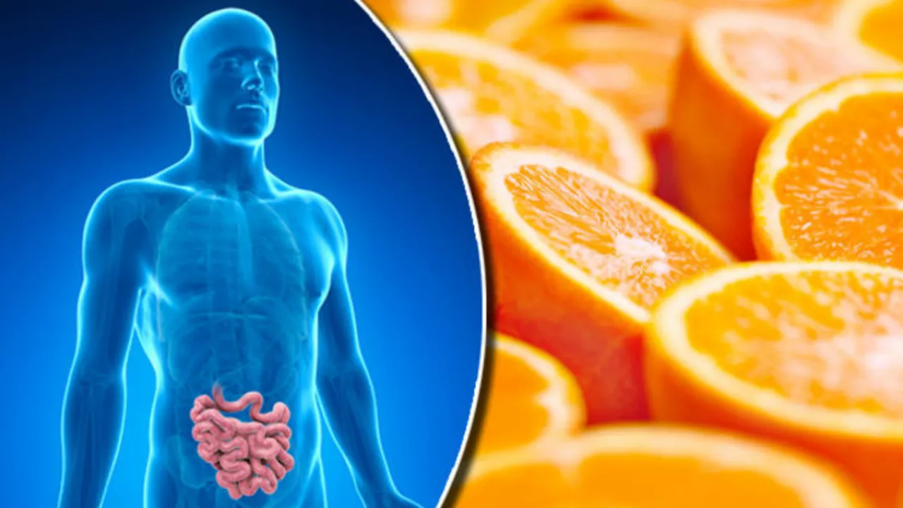 The role of vitamins in maintaining a healthy immune system
